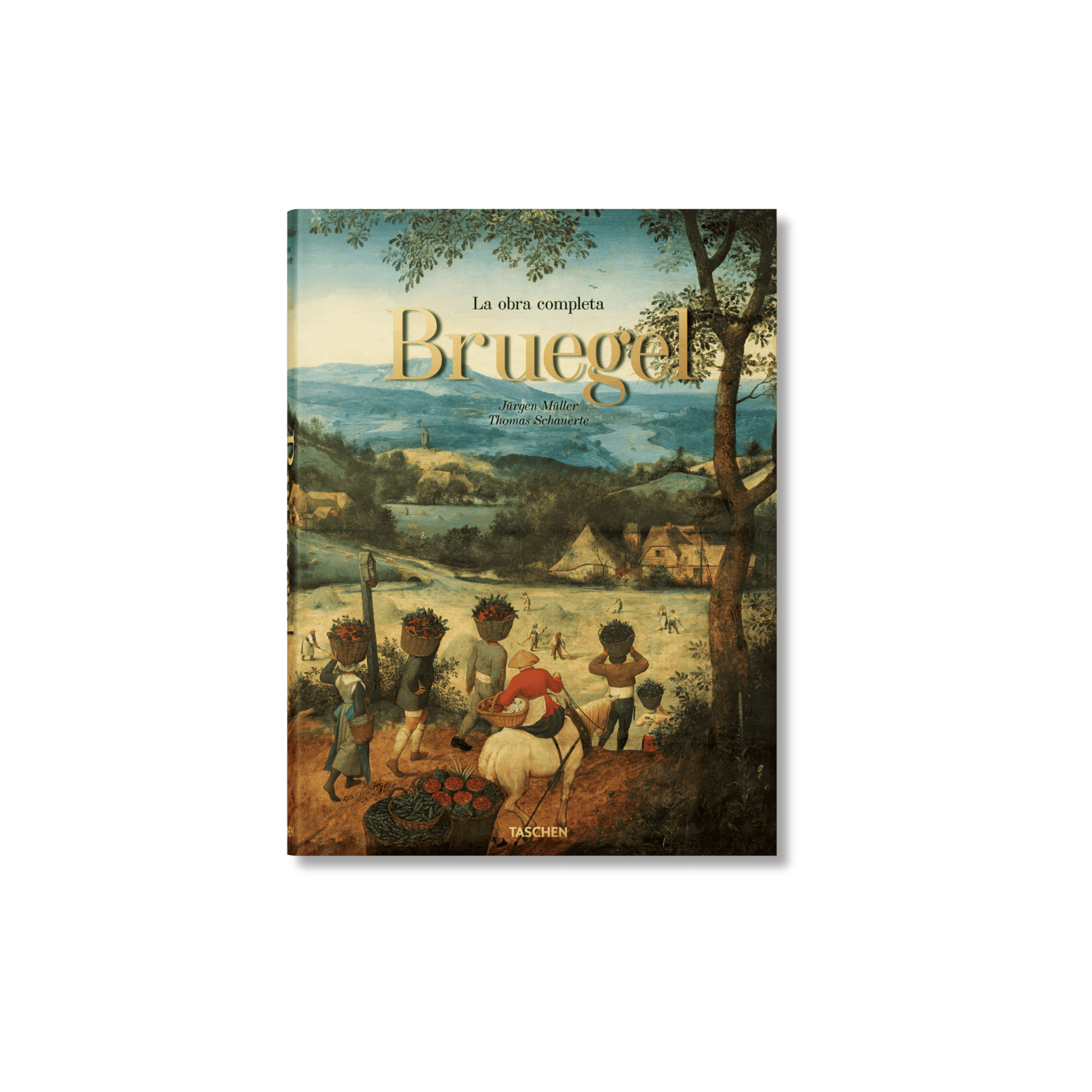 Bruegel The Complete Works Xl