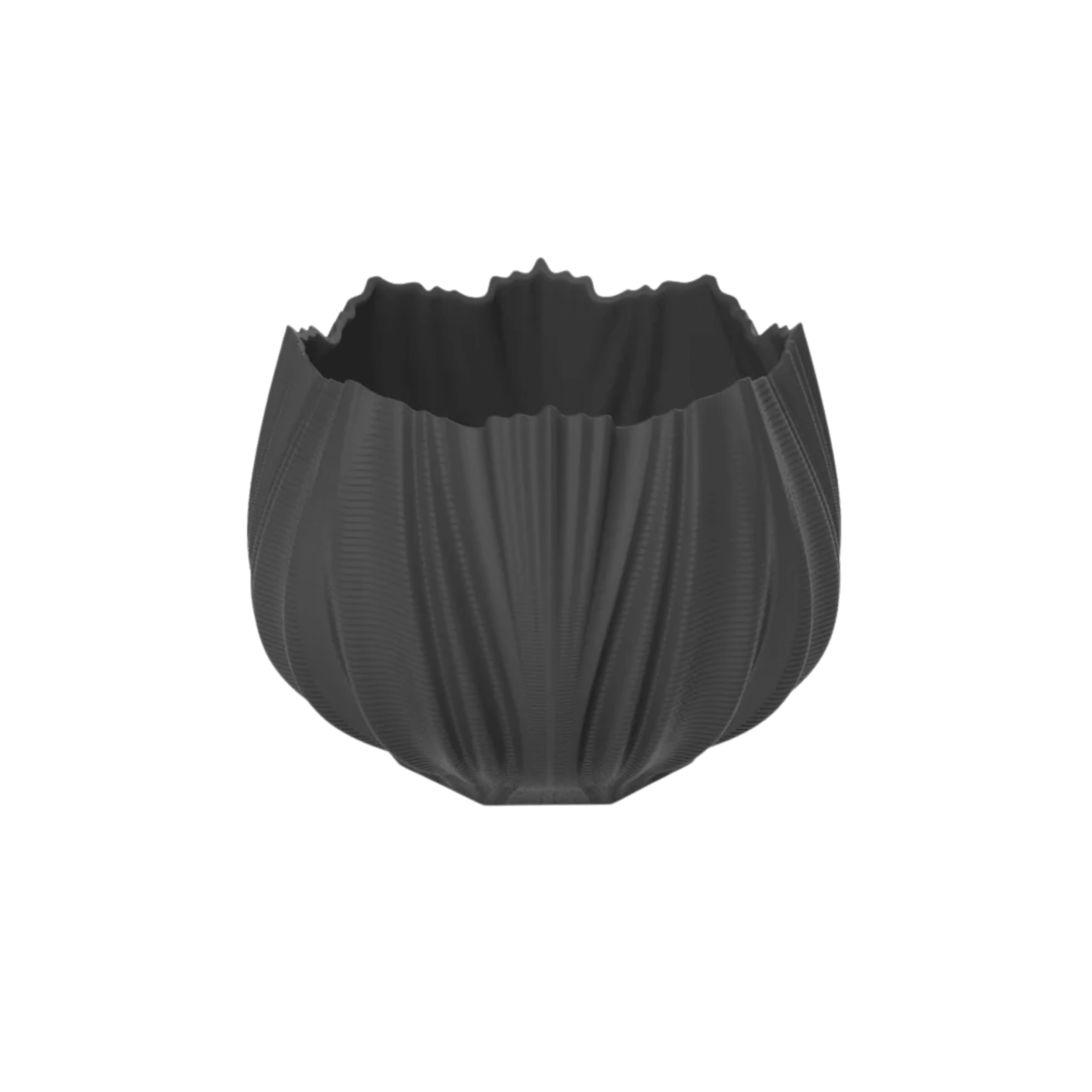 Jarron Coral Neve Pequeño Porcelana Negro