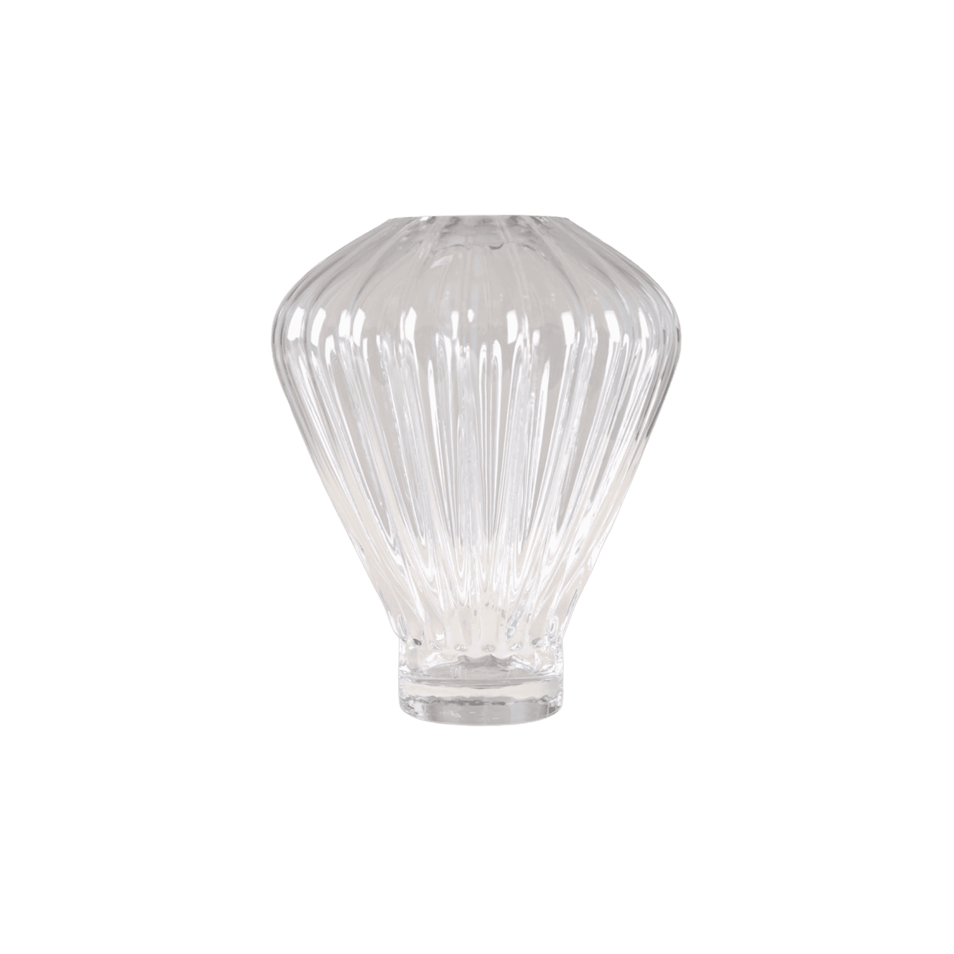 Jarron Evelyn Chico Transparente