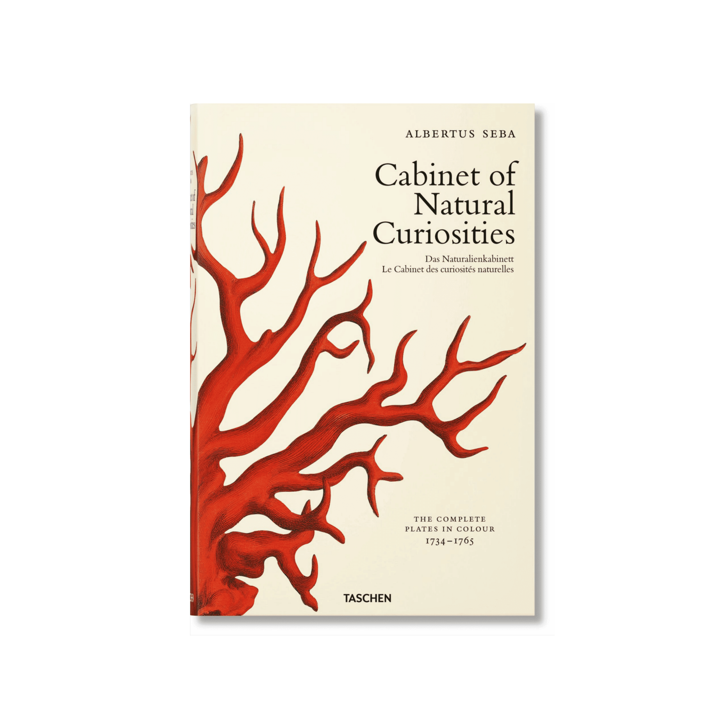 Seba Cabinet Of Natural Curiosities Xl