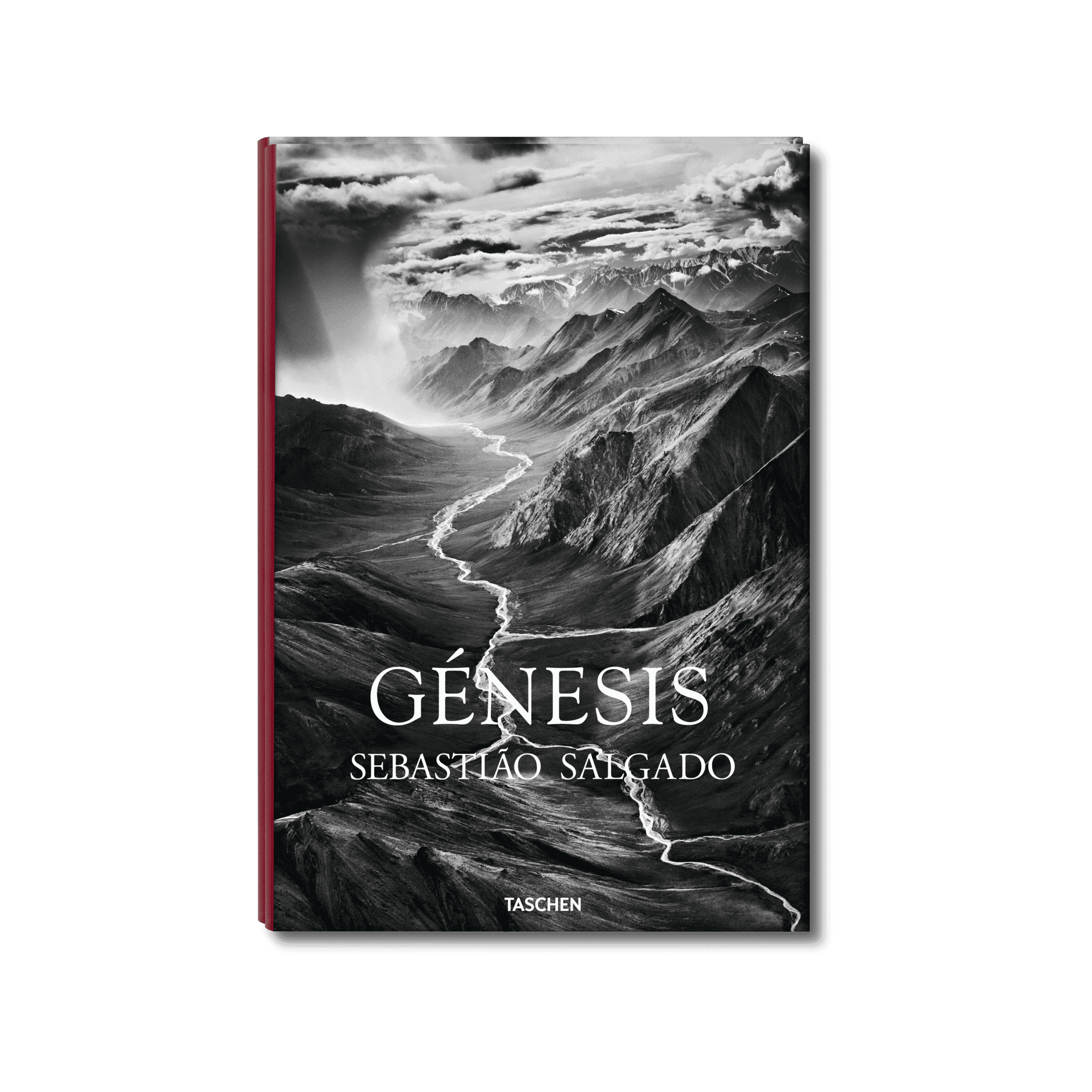 Sebastiao Salgado Genesis Xl