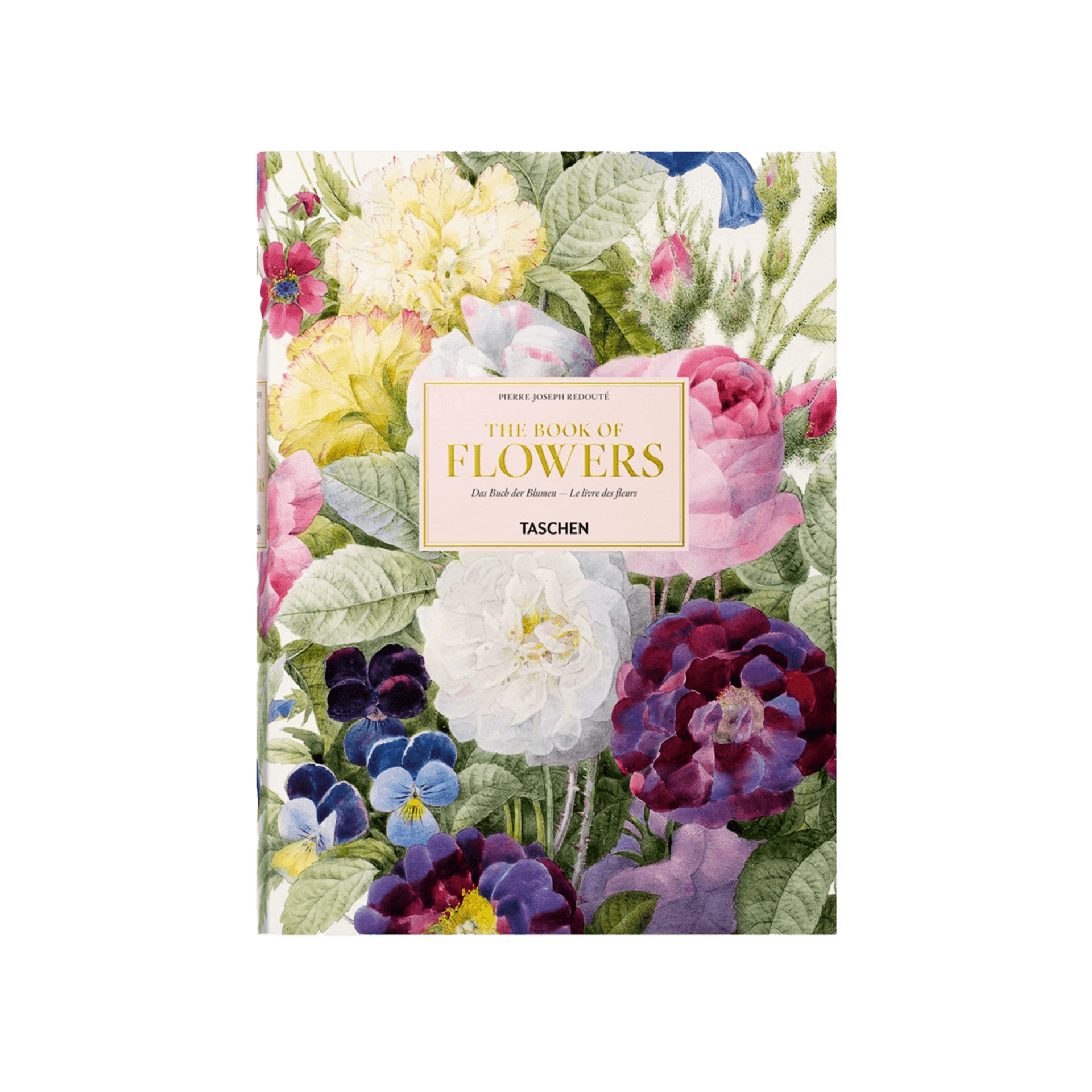 Redoute The Book Of Flowers 45