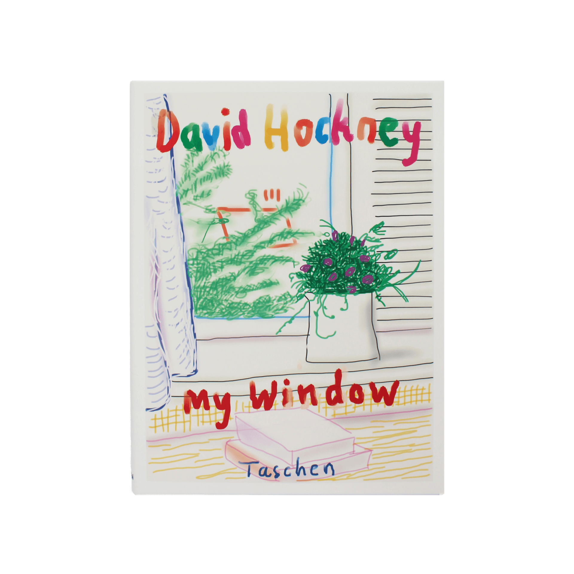David Hockney My Window