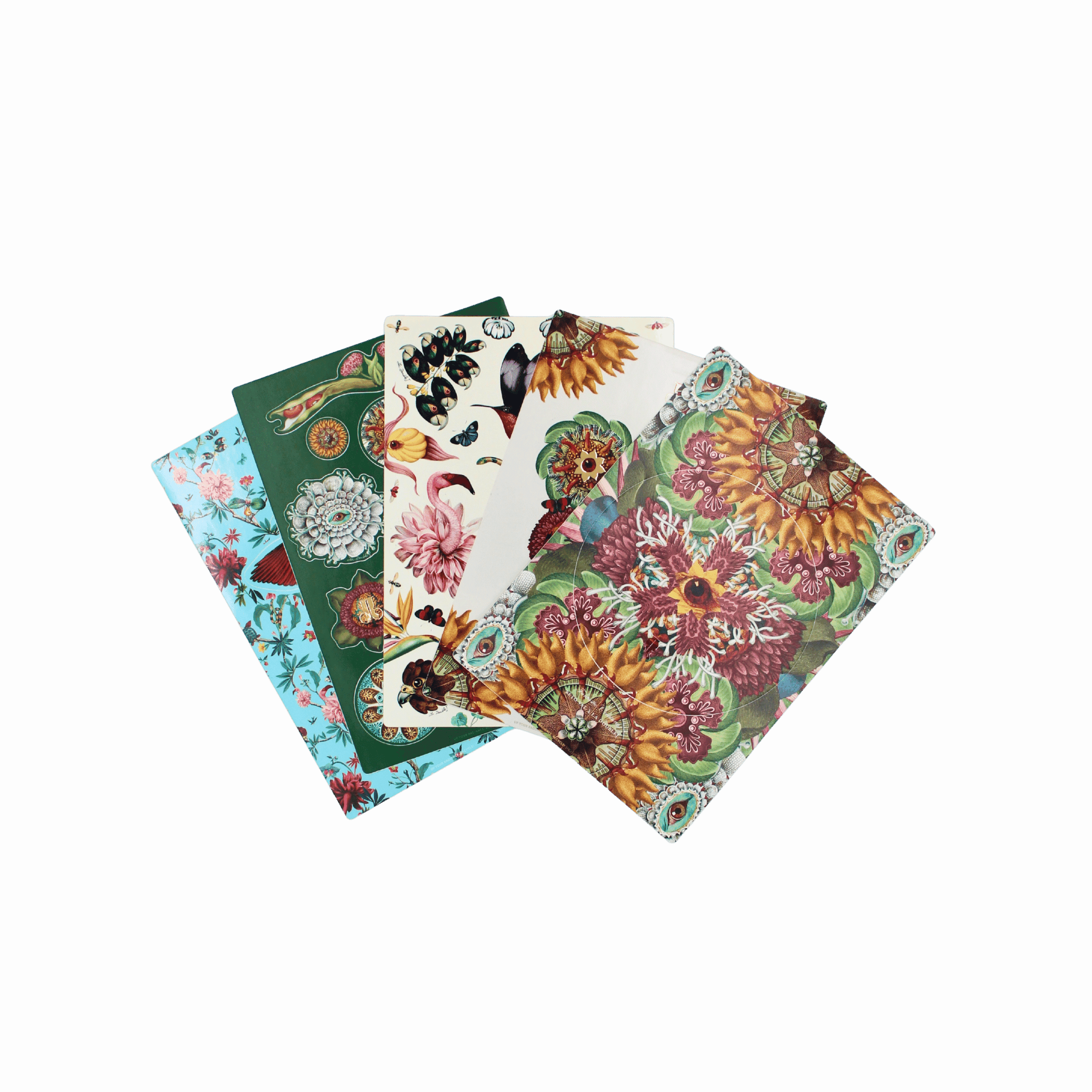 Set de 5 Stickers Joy Fantastic Creatures Multicolor