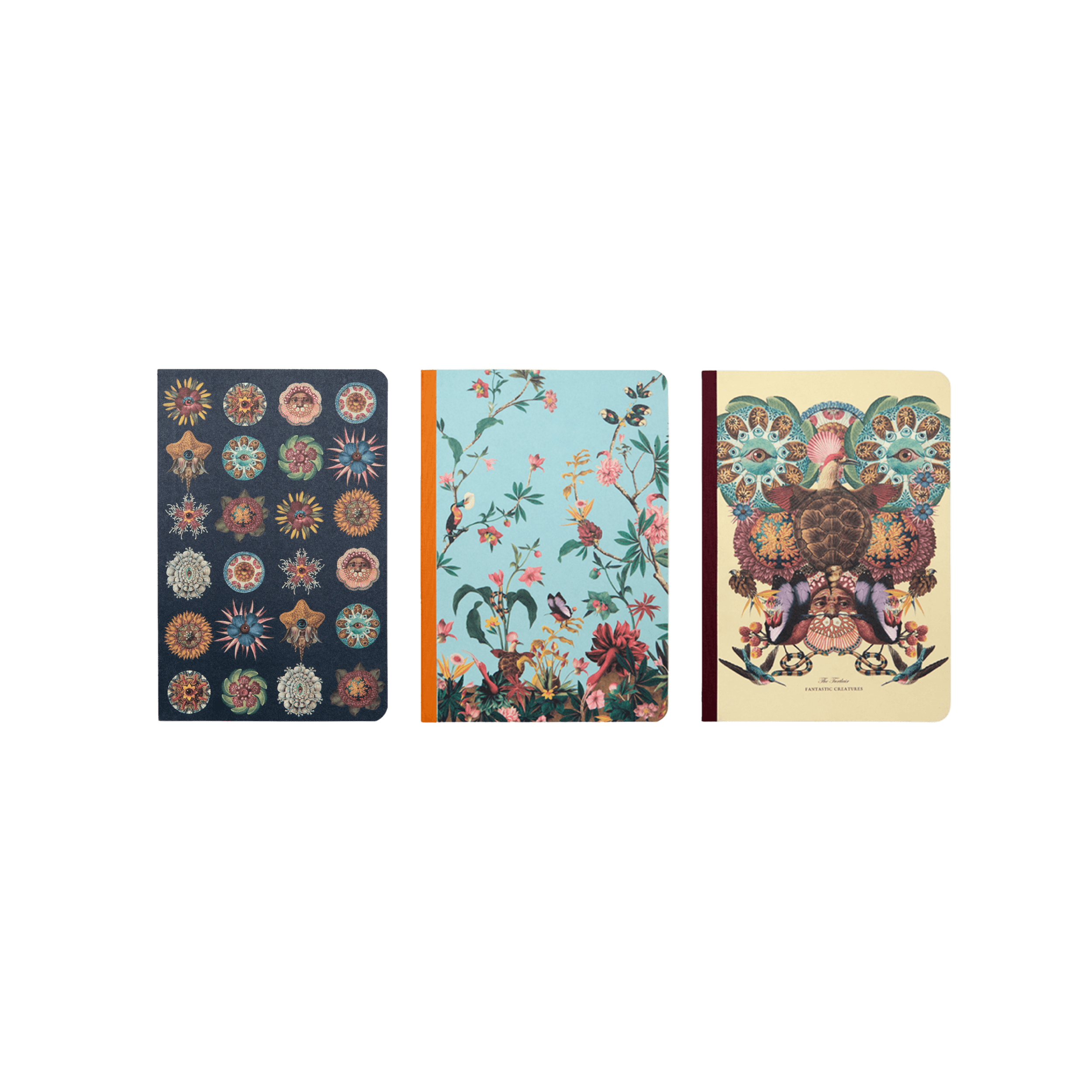 Set de 3 Diarios Fantastic Creatures Multicolor