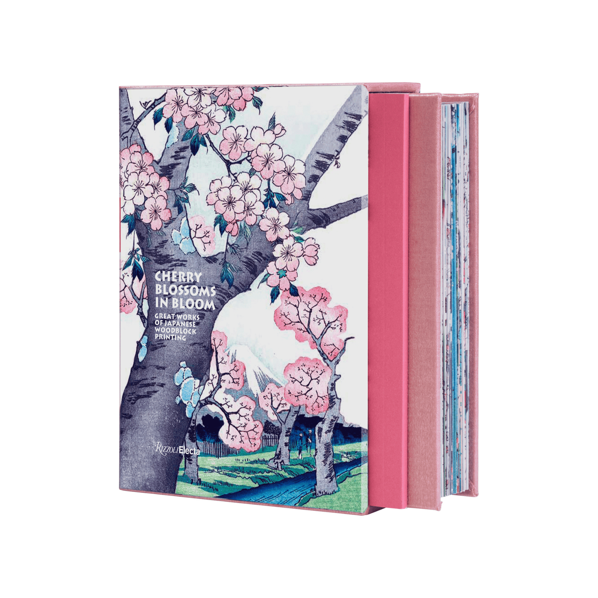Cherry Blossoms