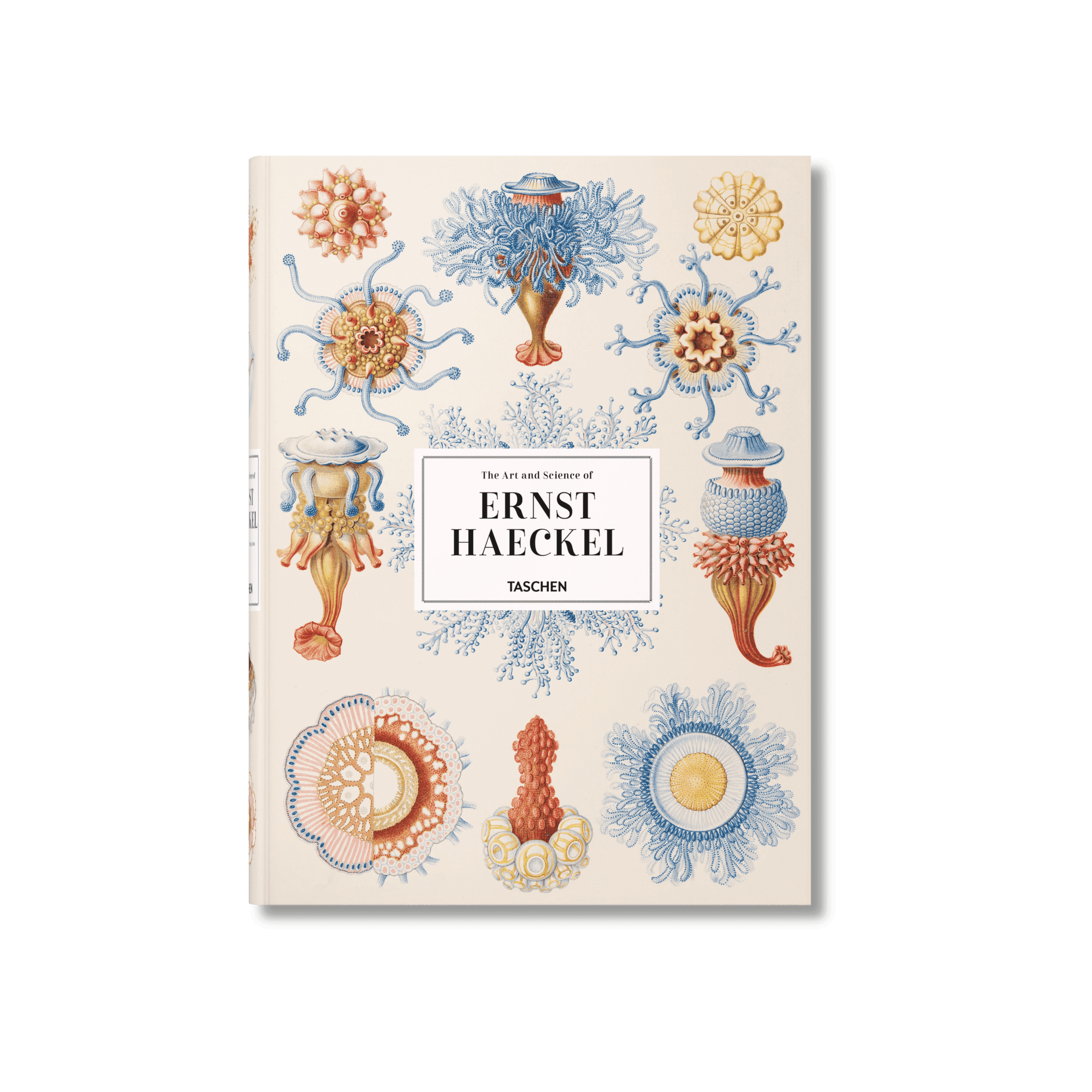 Art And Science Of Ernst Haeckel Xxl