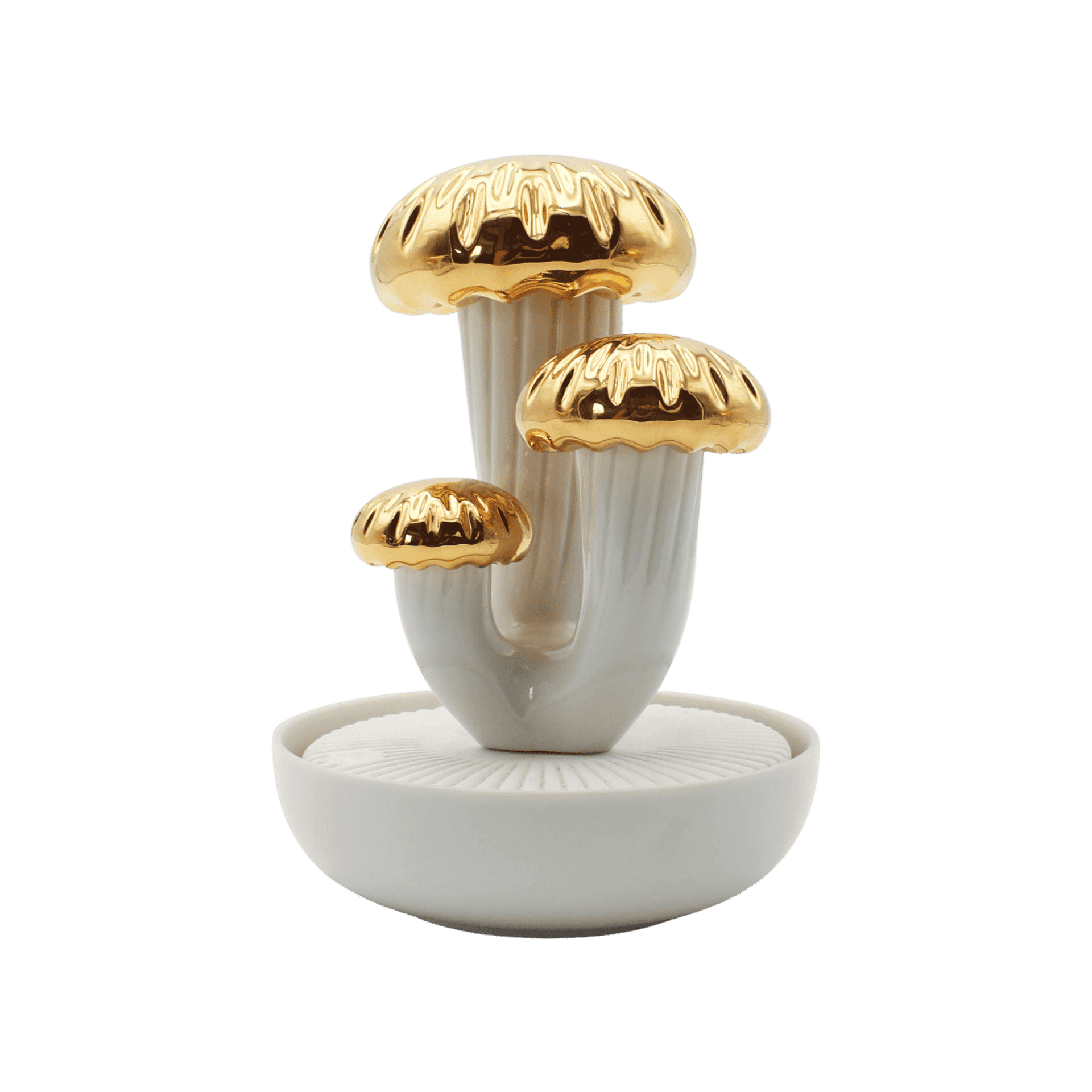 Boletus 3 Oro Jardines de Valencia