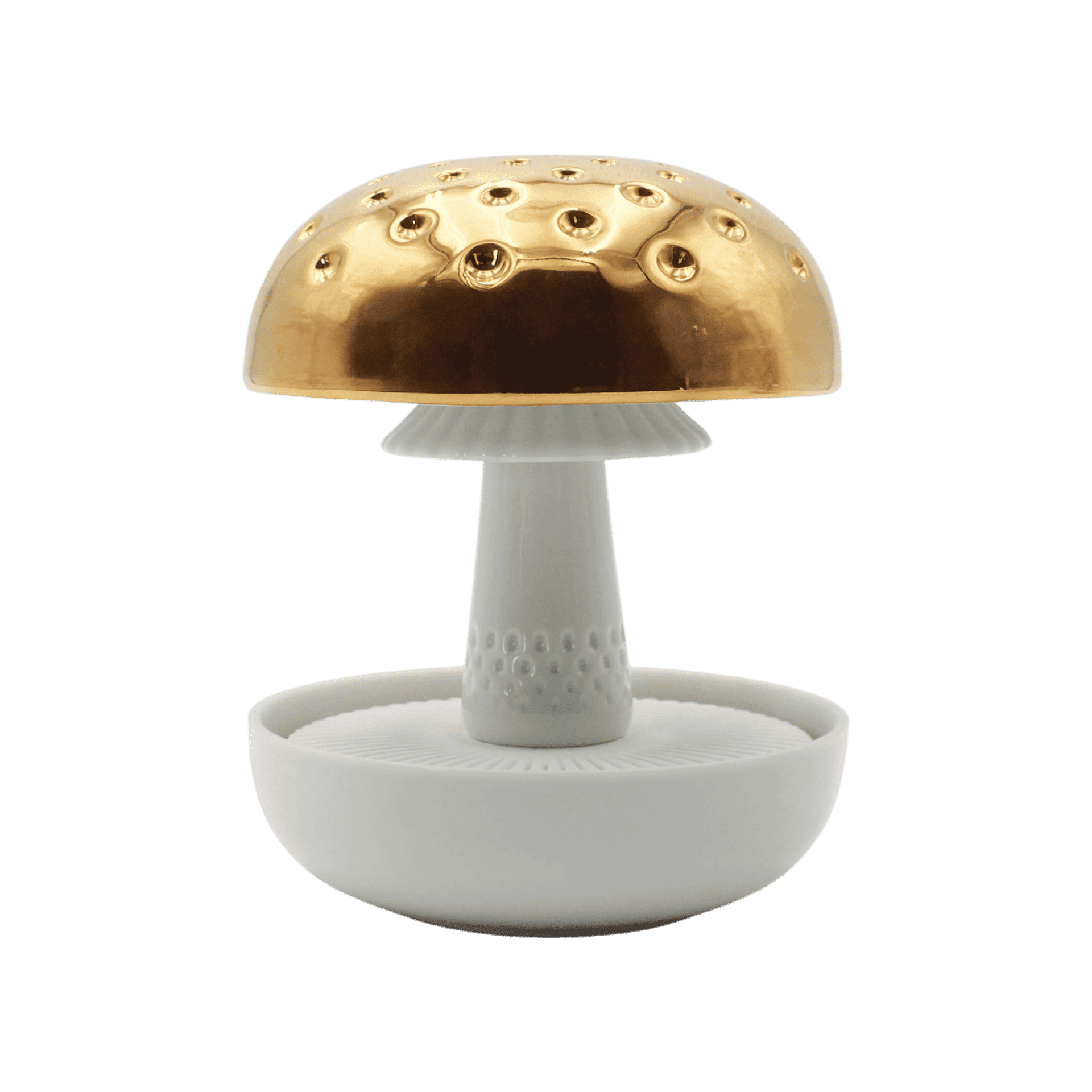 Boletus 1 Oro en el Prado