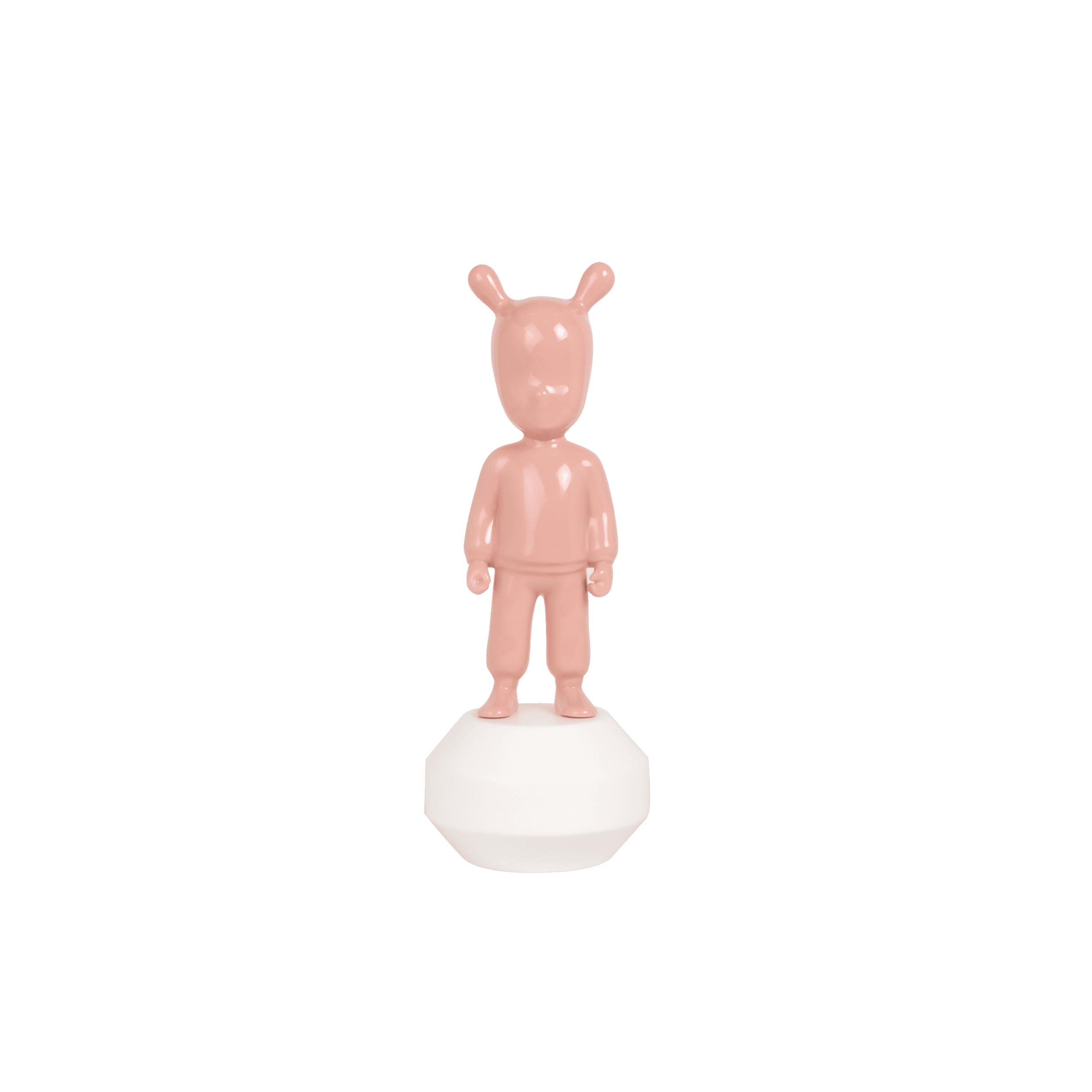 The Pink Guest Little
