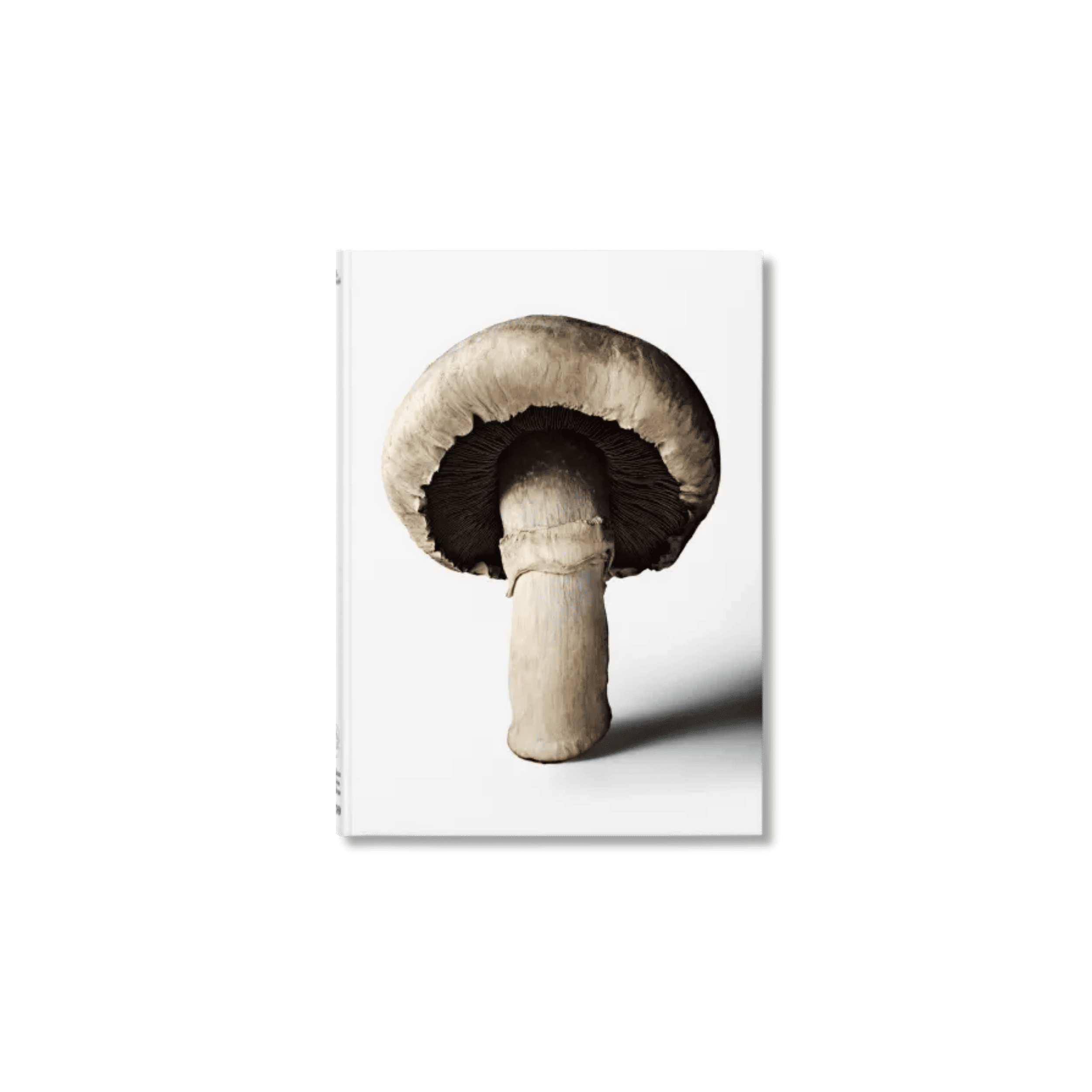 The Gourmands Mushroom