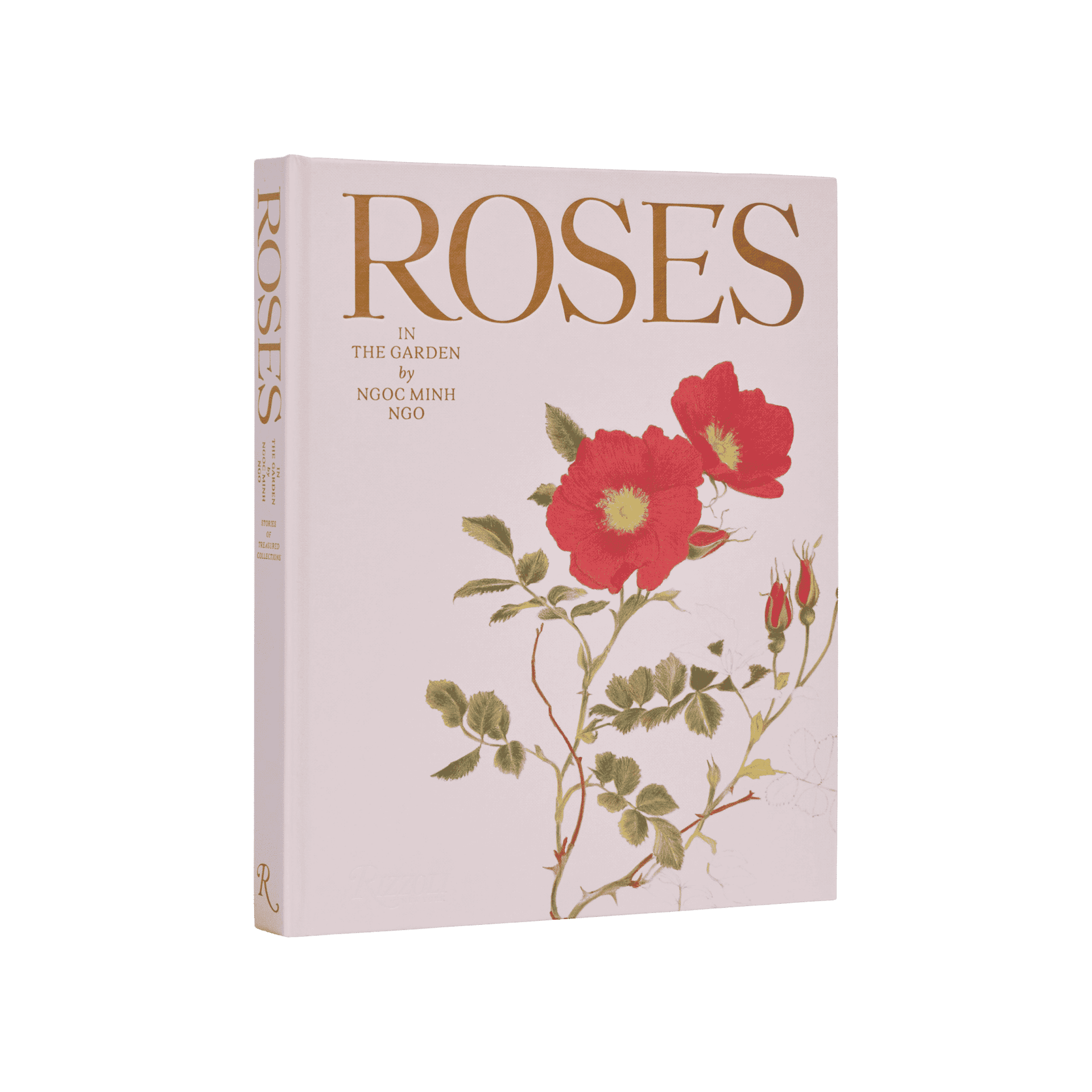 Roses In The Garden