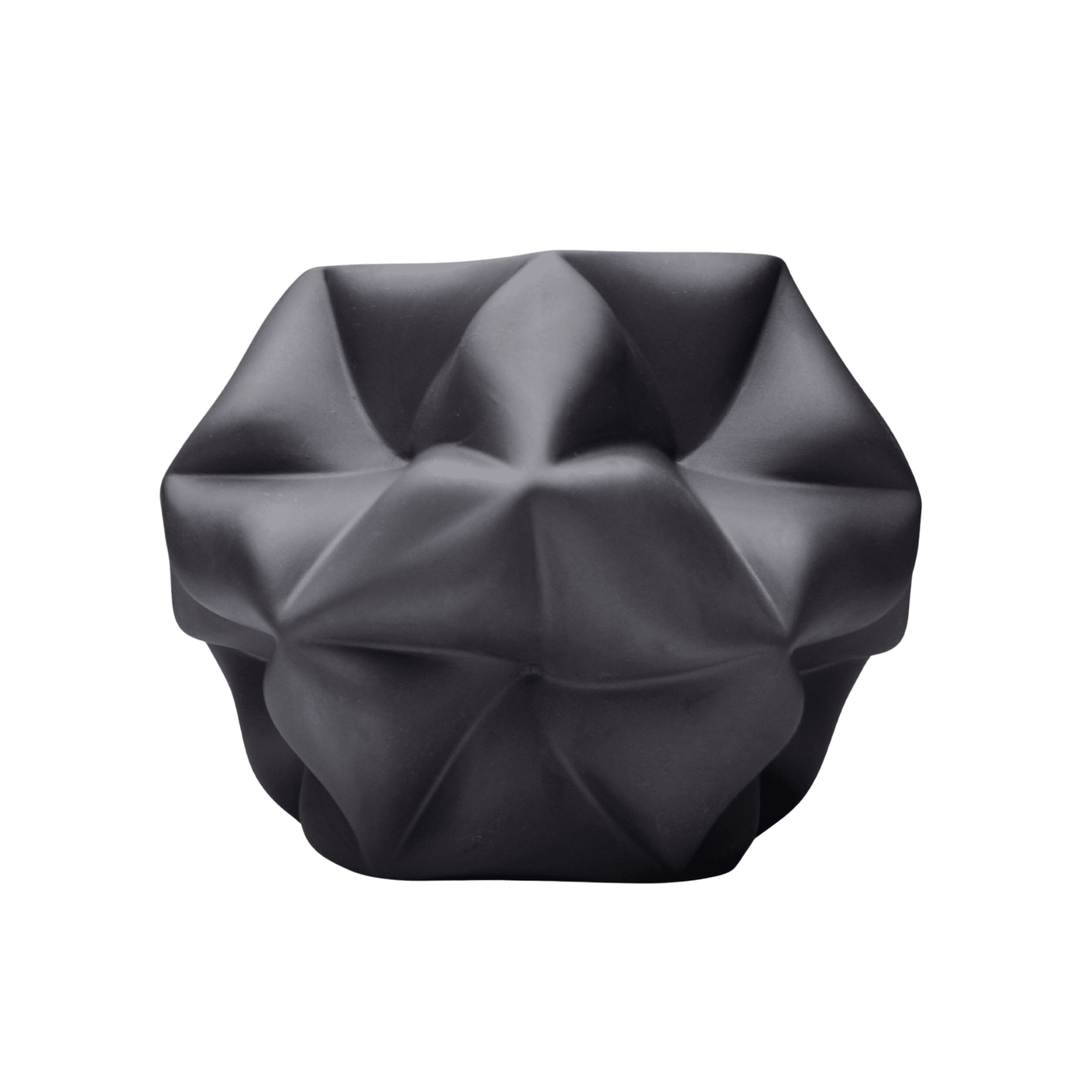 Jarron Cosmos Porcelana Negro