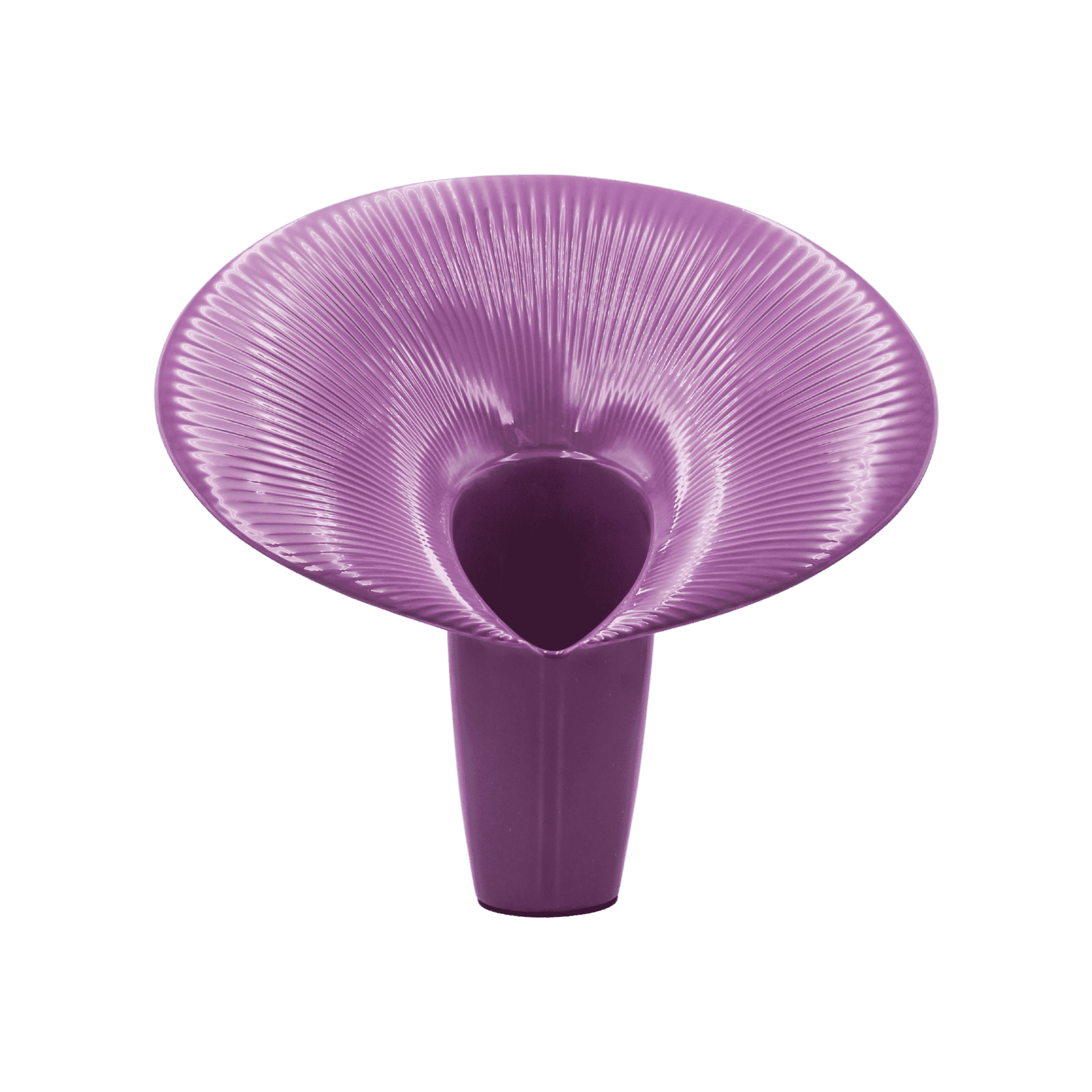 Jarron Fusca 1 Glossy Purple