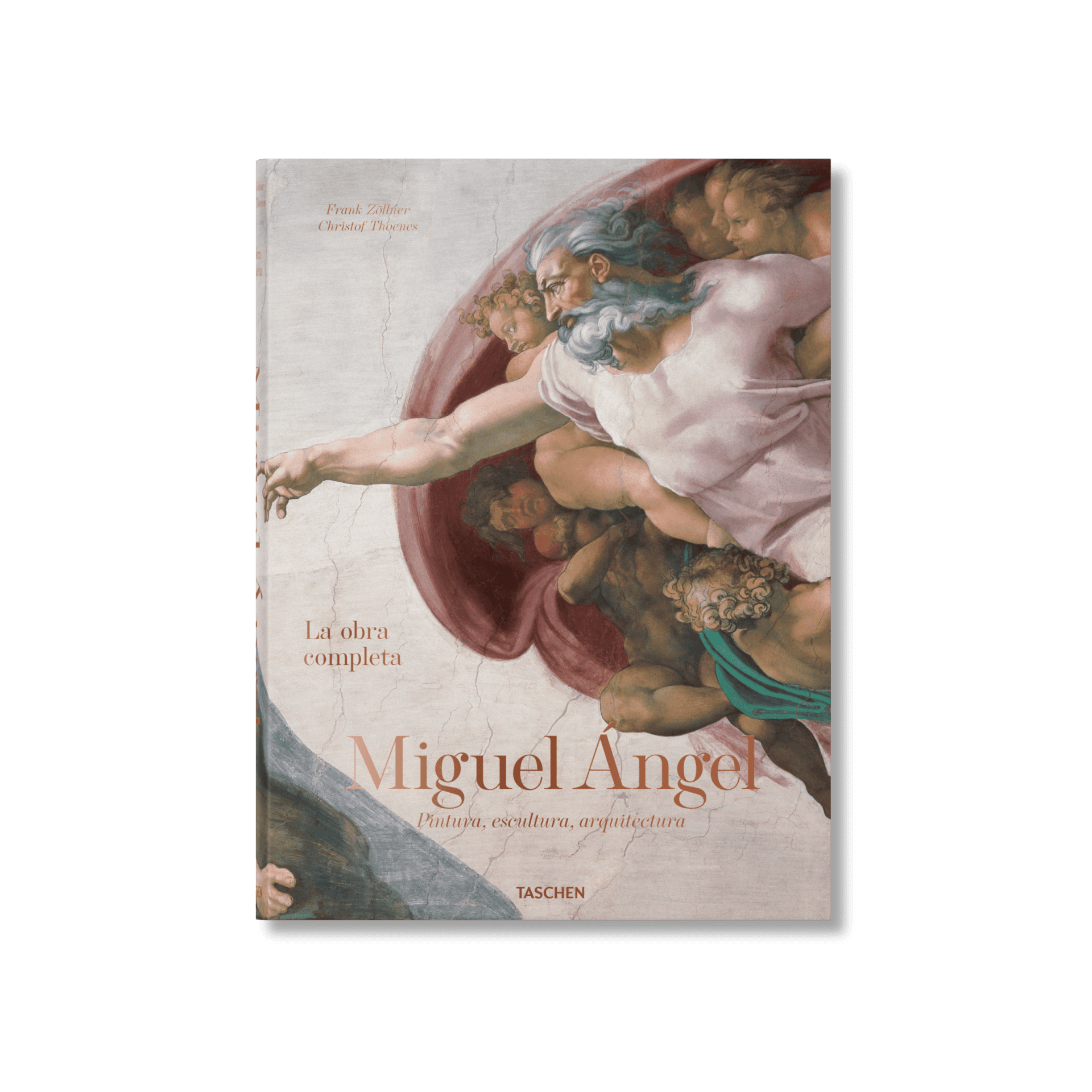 Michelangelo The Complete Works Paintings Sculptures Architecture Xl