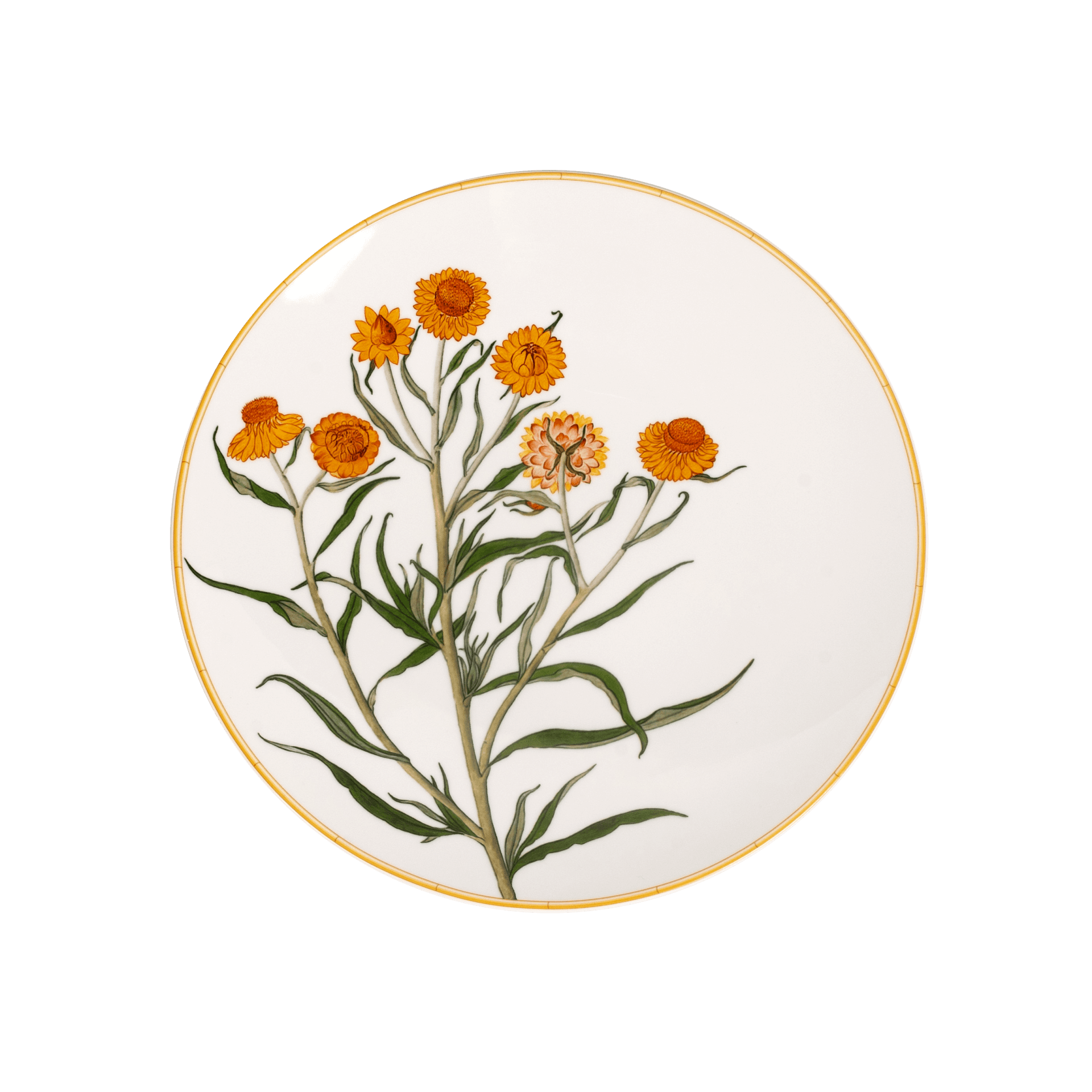 Plato Trinche Jardin Indien Bergenis