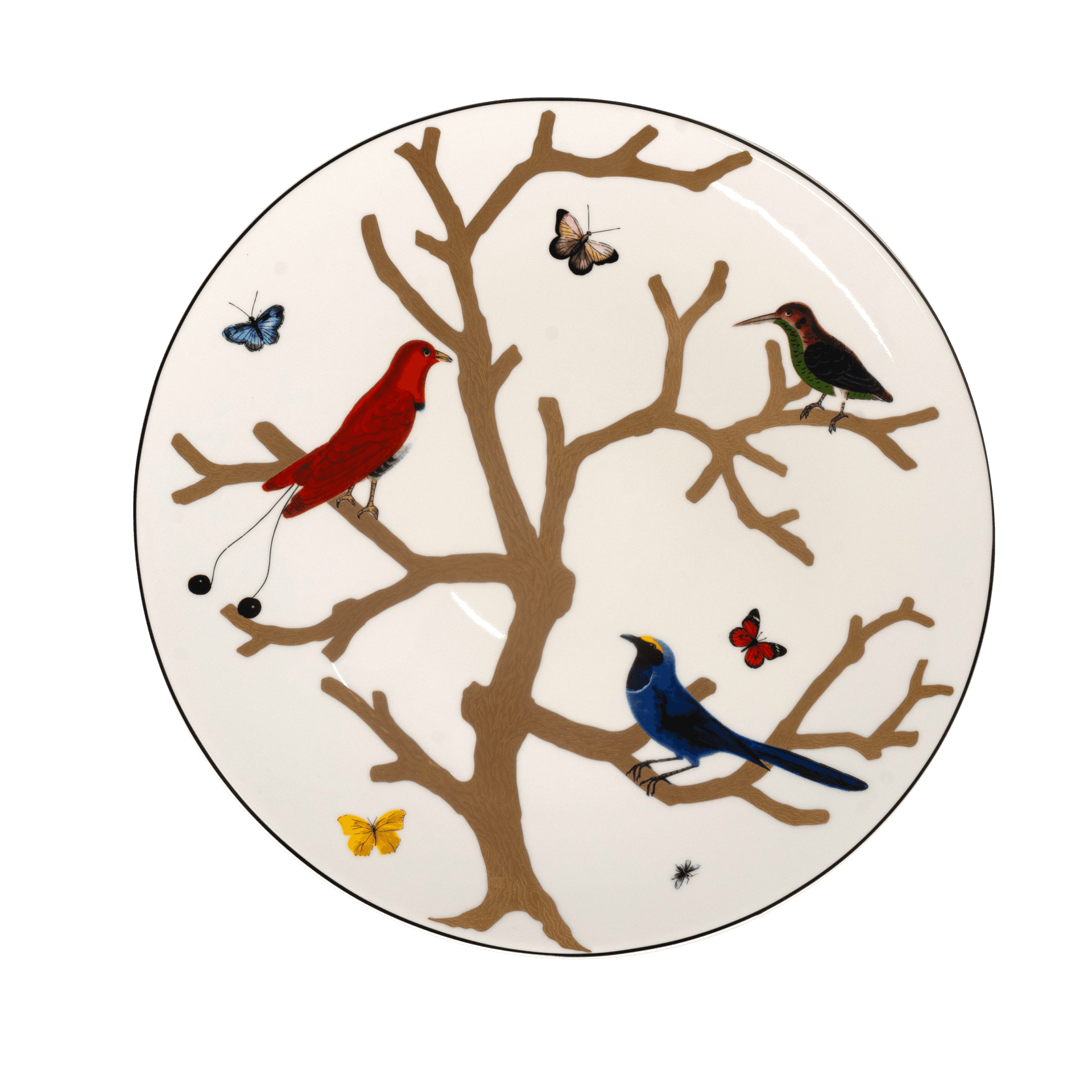 Bajo Plato Ultra Delgado Aux Oiseaux Perruche Vert