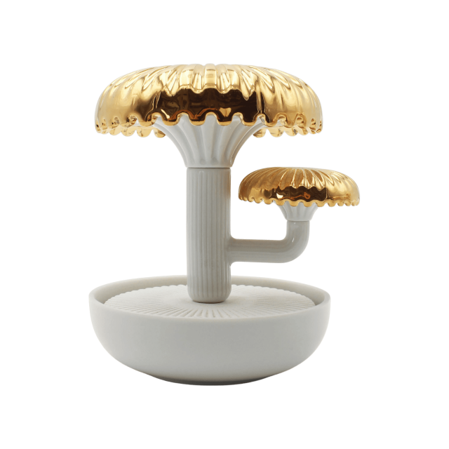 BOLETUS 2 ORO LLEGA LA NOCHE