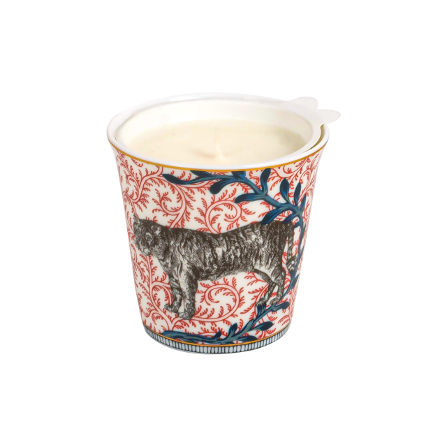 VELA MEDIANA AROMATICA DE PORCELANA BRAQUENIE