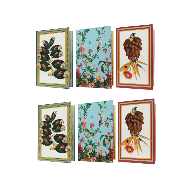 SET DE 6 GREETING CARD JOY FANTASTIC CREATURES MULTICOLOR