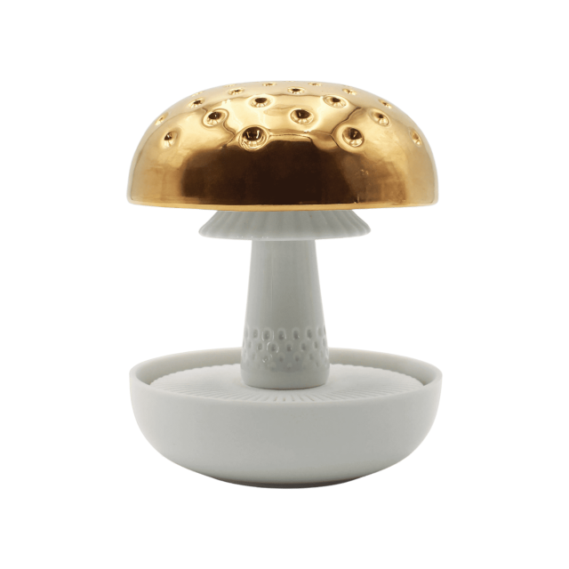 BOLETUS 1 ORO EN EL PRADO