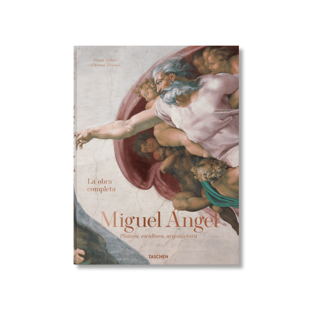 MICHELANGELO THE COMPLETE WORKS PAINTINGS SCULPTURES ARCHITECTURE XL