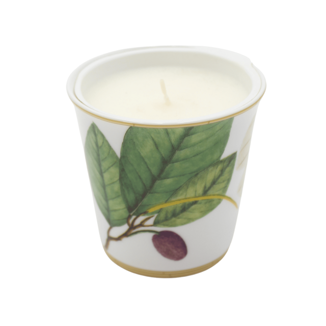 VELA MEDIANA AROMATICA DE PORCELANA JARDIN INDIEN