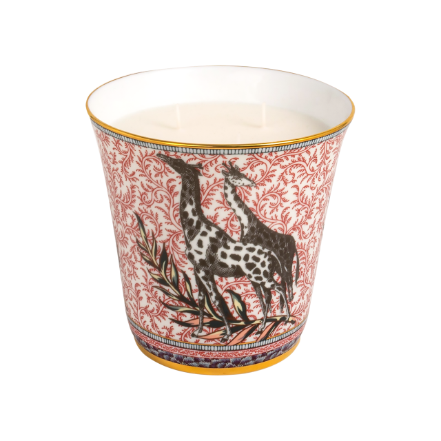 VELA THE ROYAL AROMATICA DE PORCELANA BRAQUENIE