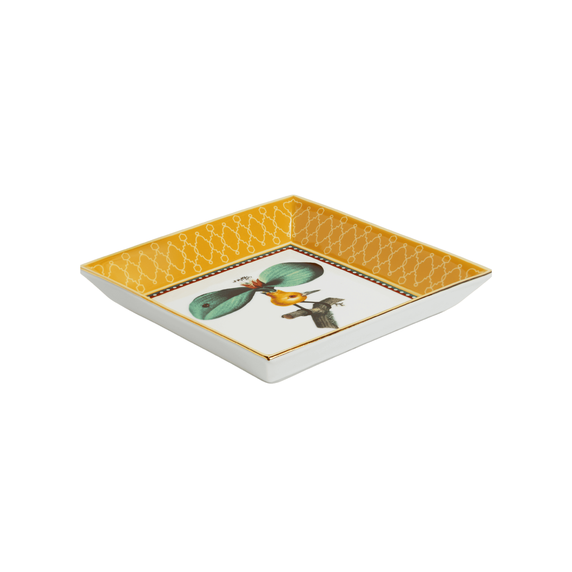 Maison Maad